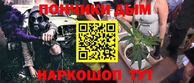 прущие грибы Лесосибирск