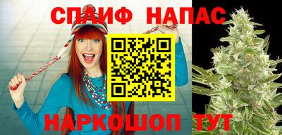 прущие грибы Лесосибирск
