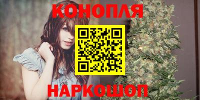 прущие грибы Лесосибирск