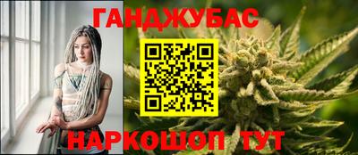 прущие грибы Лесосибирск