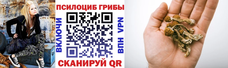 Псилоцибиновые грибы прущие грибы дарнет шоп Тюмень