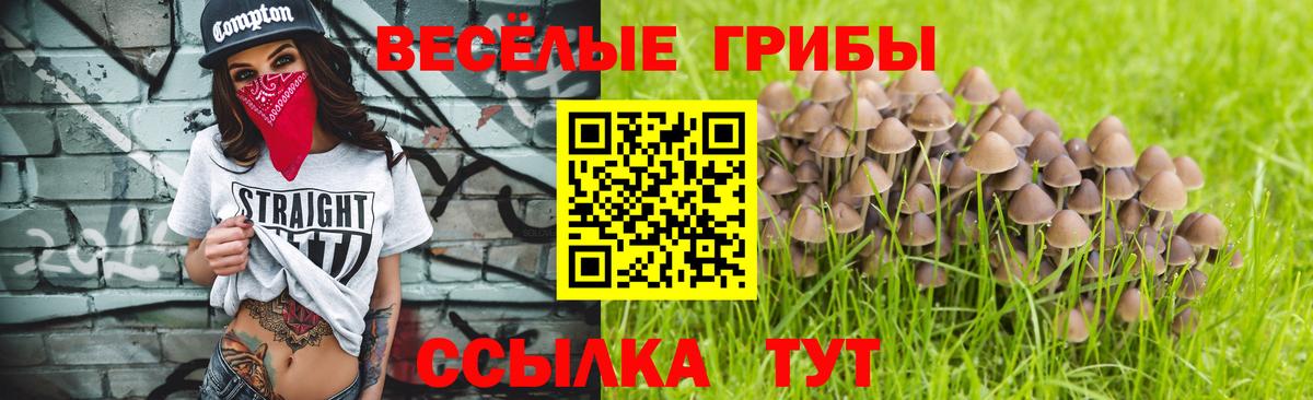 Галлюциногенные грибы ЛСД  Вход с VPN  Тюмень 