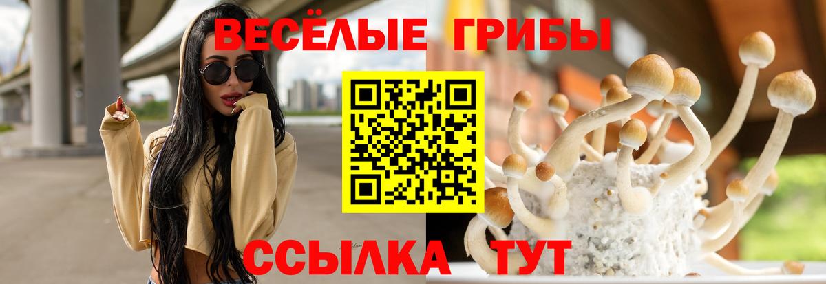 Псилоцибиновые грибы Cubensis Тюмень